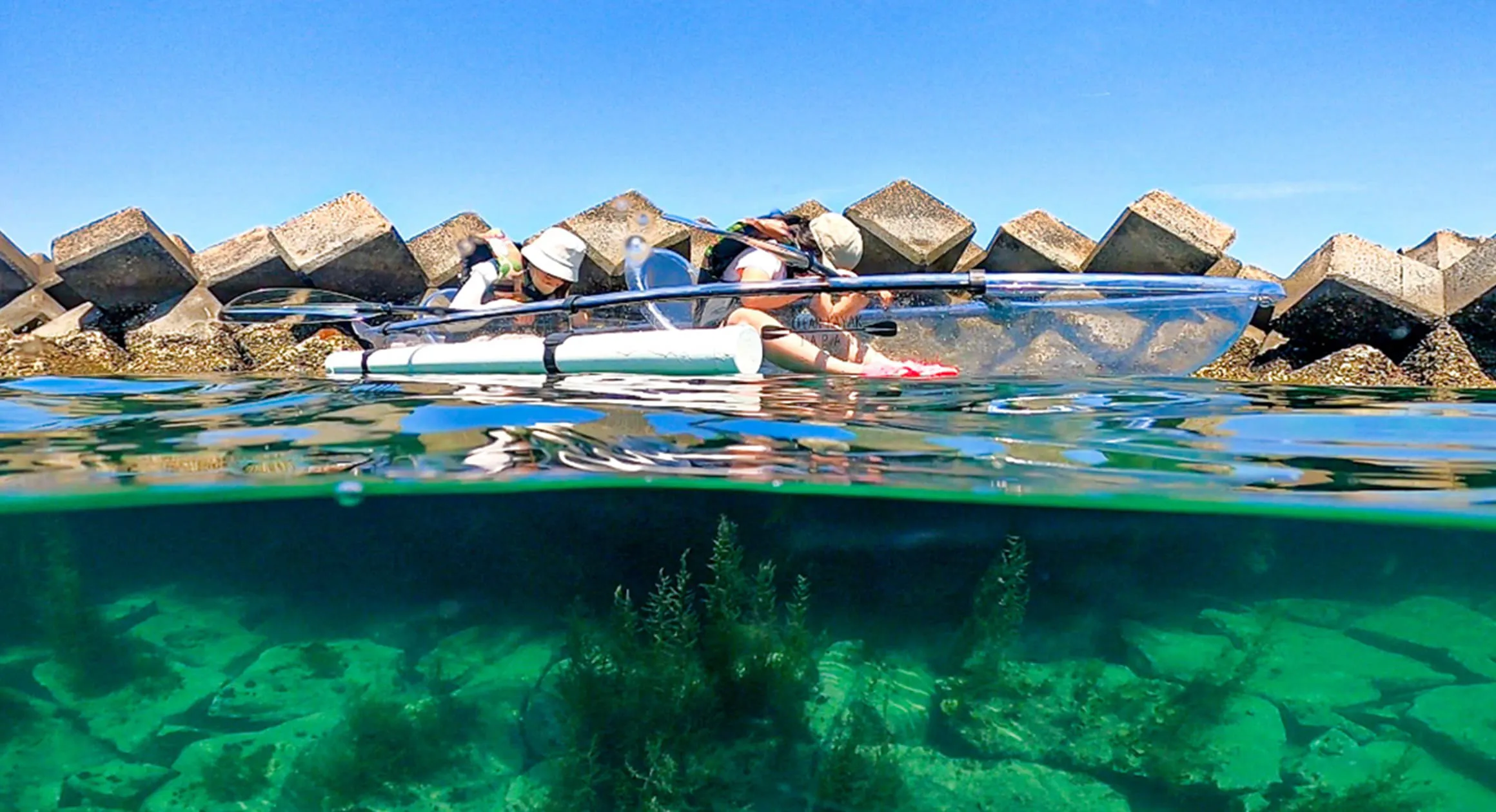 アクティビティ